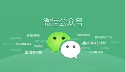 对于初创公司来说微信公众号和微信小程序哪个好?